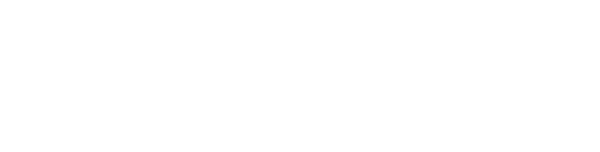 Evoxel Shop